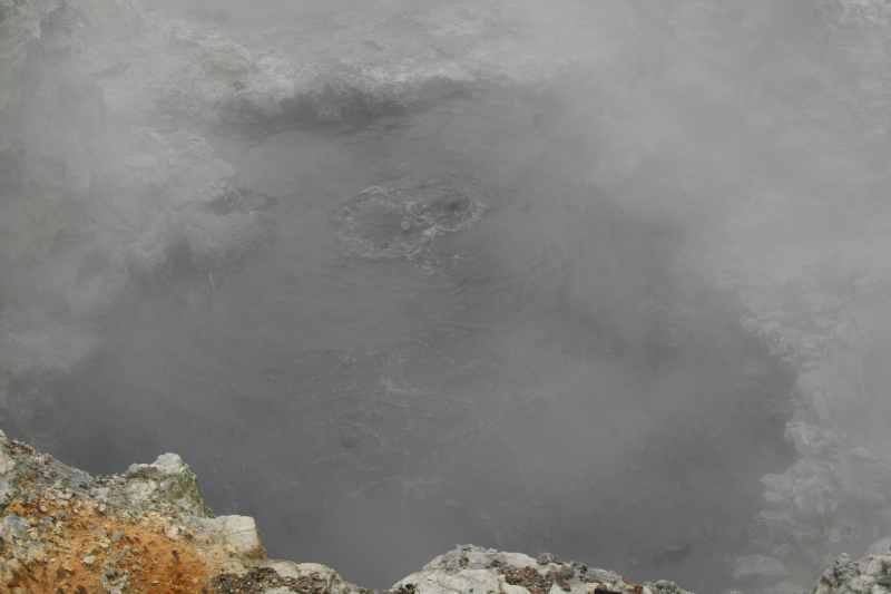 Nieuw-Zeeland 2011 - 0627